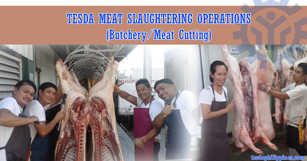 CHƯƠNG TRÌNH ĐÀO TẠO THỢ TẠI PHILIPPINES 4 gi%E1%BA%BFt m%E1%BB%95 gia s%C3%BAc