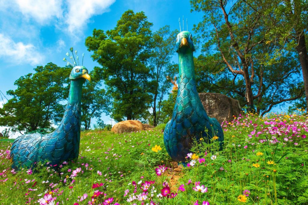 HÀNH TRÌNH KHÁM PHÁ VÙNG ĐẤT TÂY NINH TÂM LINH - A SPIRITUAL JOURNEY TO DISCOVER TAY NINH 11 C%E1%BA%A3nh quan tr%C3%AAn %C4%91%E1%BB%89nh n%C3%BAi B%C3%A0 %C4%90en 3
