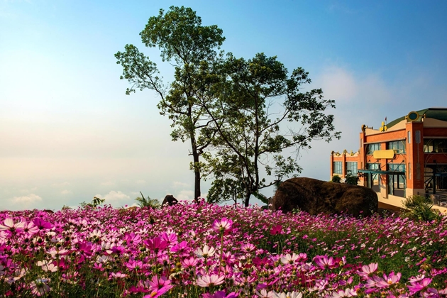 HÀNH TRÌNH KHÁM PHÁ VÙNG ĐẤT TÂY NINH TÂM LINH - A SPIRITUAL JOURNEY TO DISCOVER TAY NINH 9 canh quan tren dinh nui ba den 2