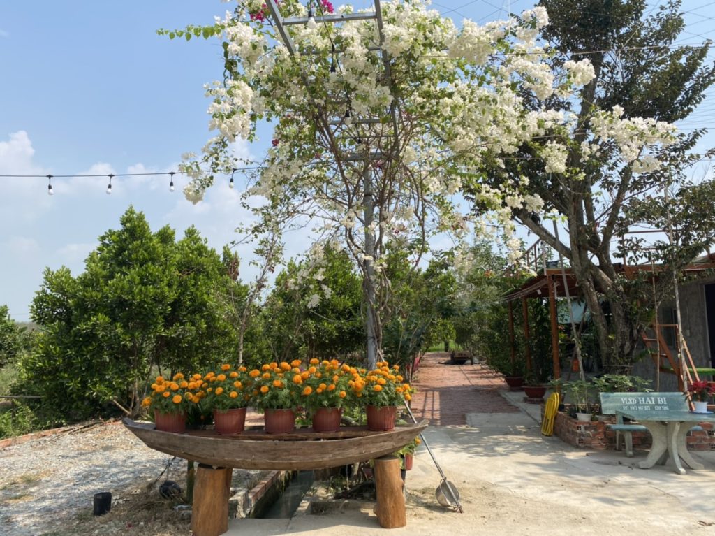 LA'S FARMSTAY: VUI LÒNG KHÁCH ĐẾN - VỪA LÒNG KHÁCH ĐI 2 z2356825989679 4f9da13fce92cd90becec22f9d82d9fb