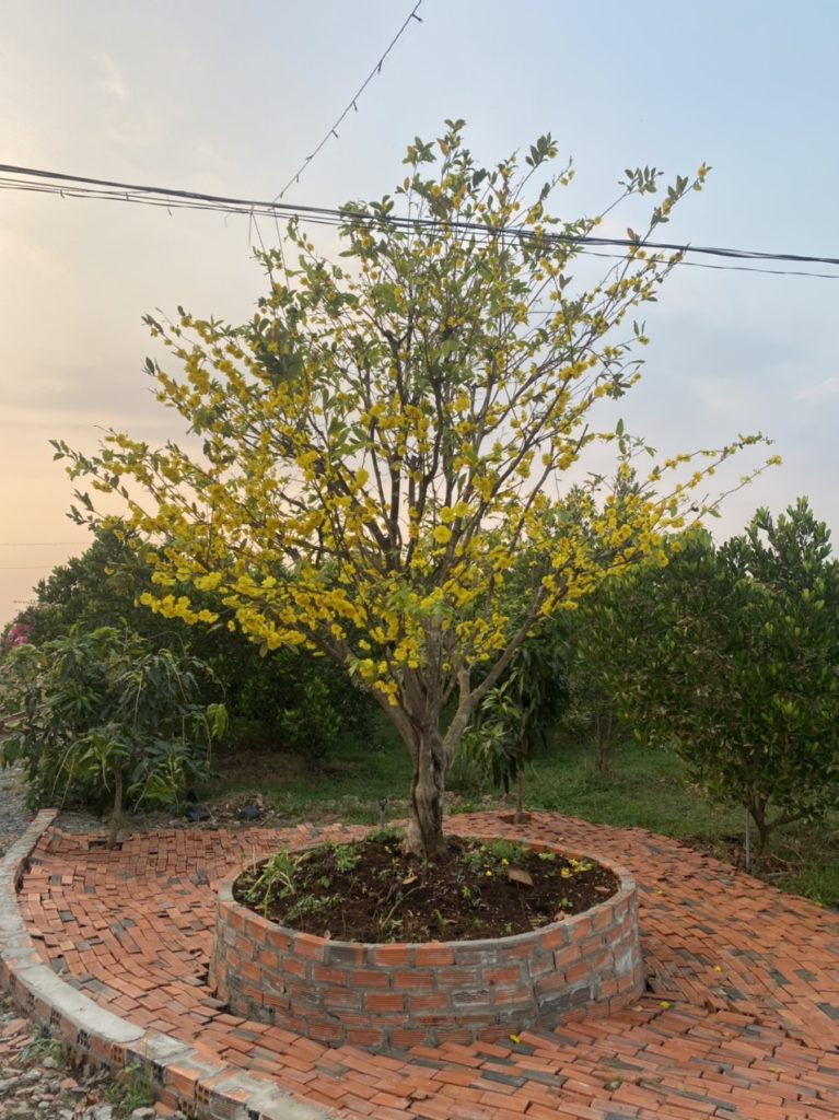 LA'S FARMSTAY: VUI LÒNG KHÁCH ĐẾN - VỪA LÒNG KHÁCH ĐI 1 z2356826019645 3b66523cc45704502b7b3736a16de480 1